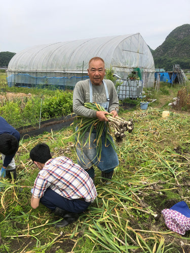 野菜果物の収穫体験すーさんファーム オーナーの鈴木章さんにお話を聞いてみました！