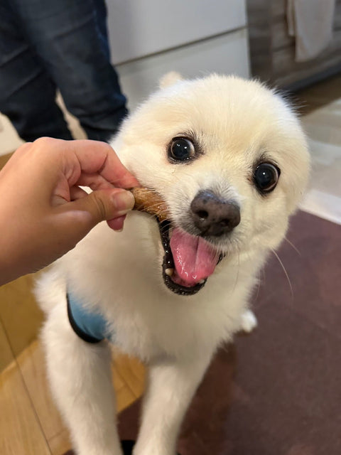 新商品を追加しました！（久井高原のスモークチキン小屋　無添加スモークササミ）