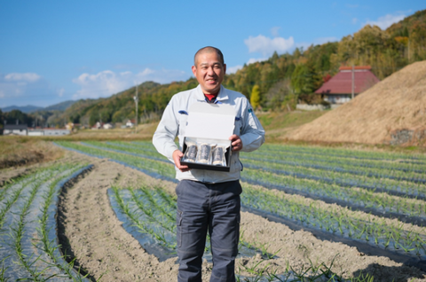 まざぁーずうぉーむ株式会社
