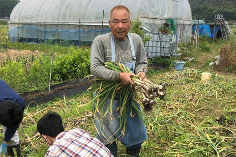 野菜果物の収穫体験すーさんファーム