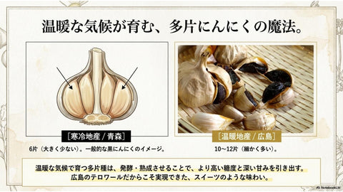 瀬戸内レモン入り黒にんにくペースト　3パック入り