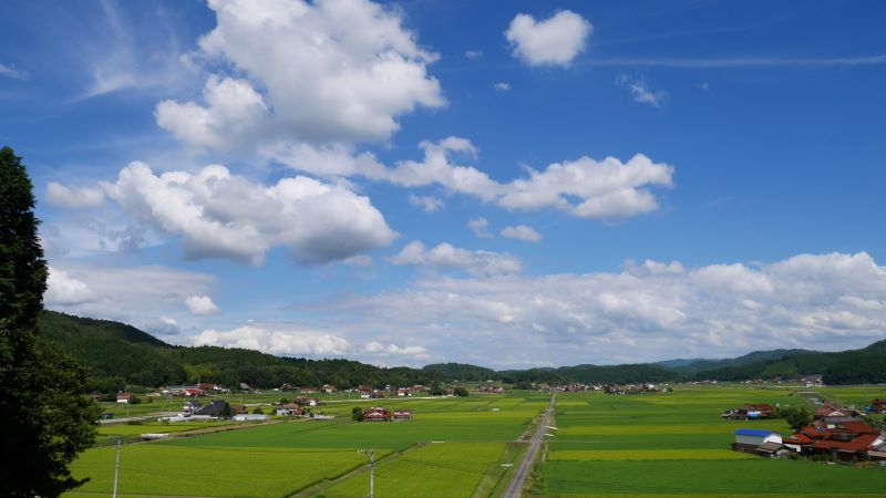 美しい大和町の田園風景